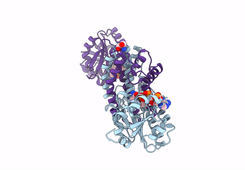8YVH image