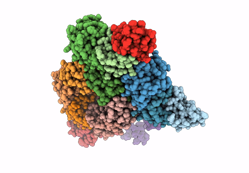 8YVI image