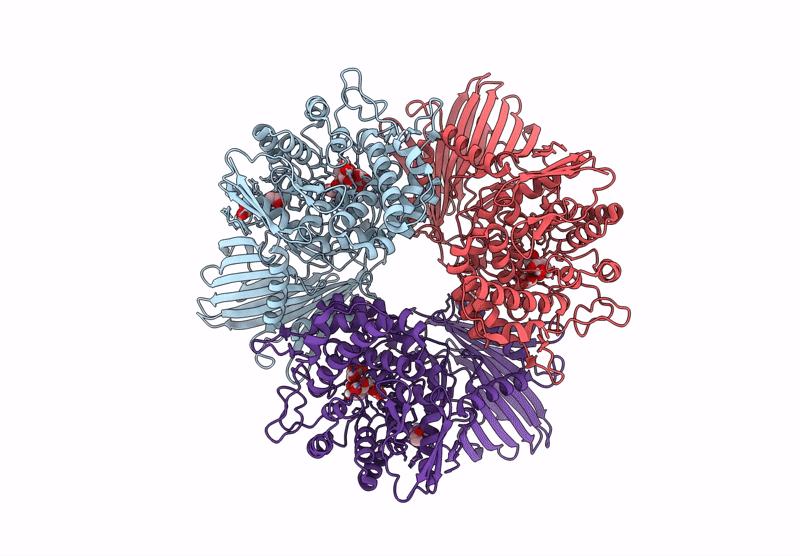 8YVS image