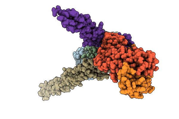 8YX1 image