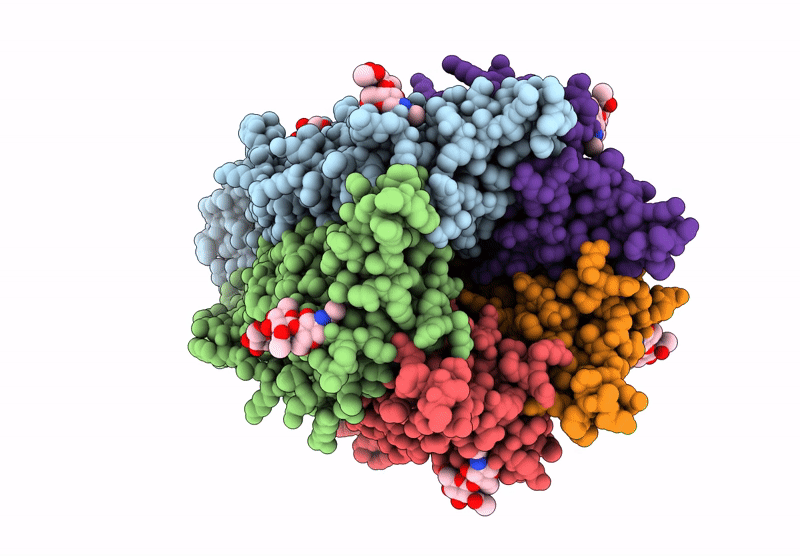 8YX7 image
