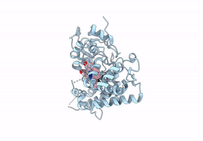 8YXT image