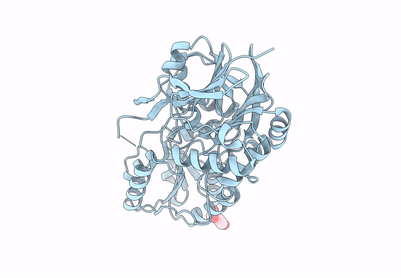 8YYI image
