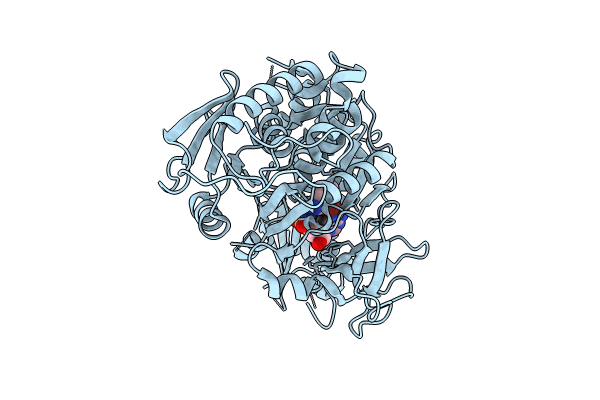 8YYR image