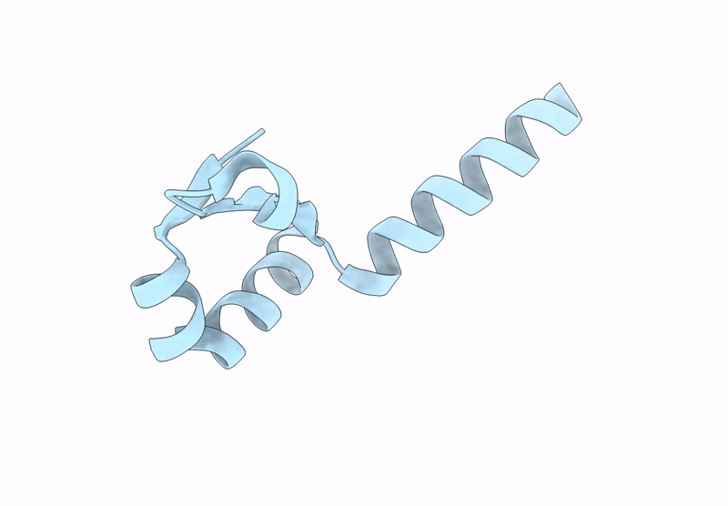 8YZG image