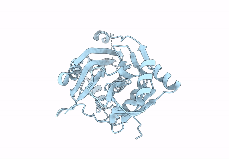8Z3I image