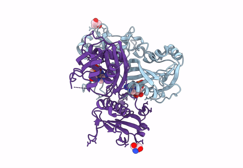 8ZB5 image