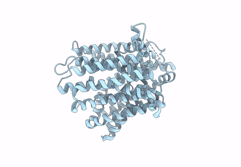 8ZBB image