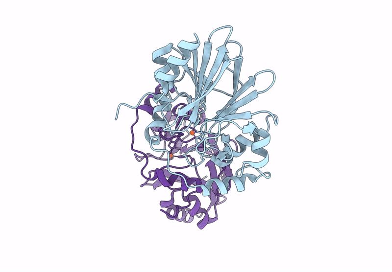 8ZBD image