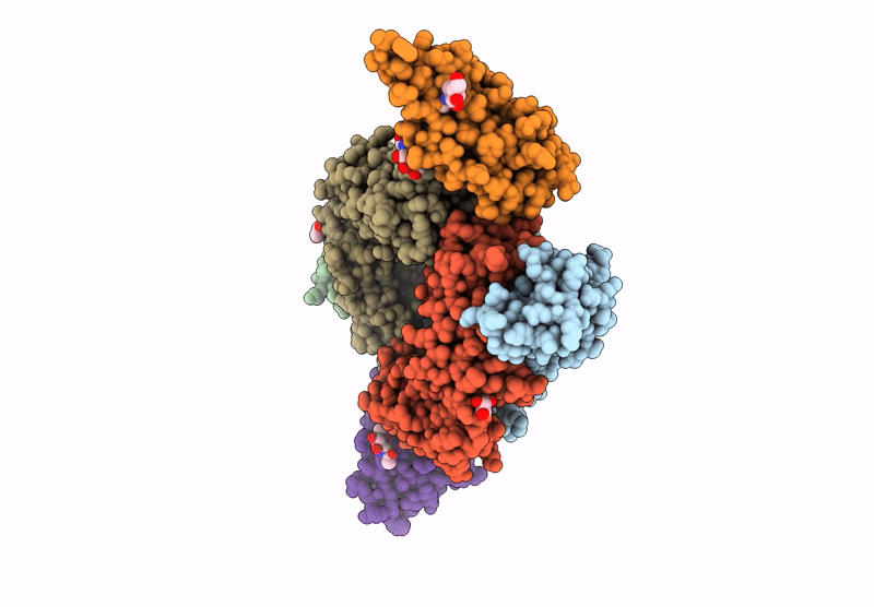 8ZCA image
