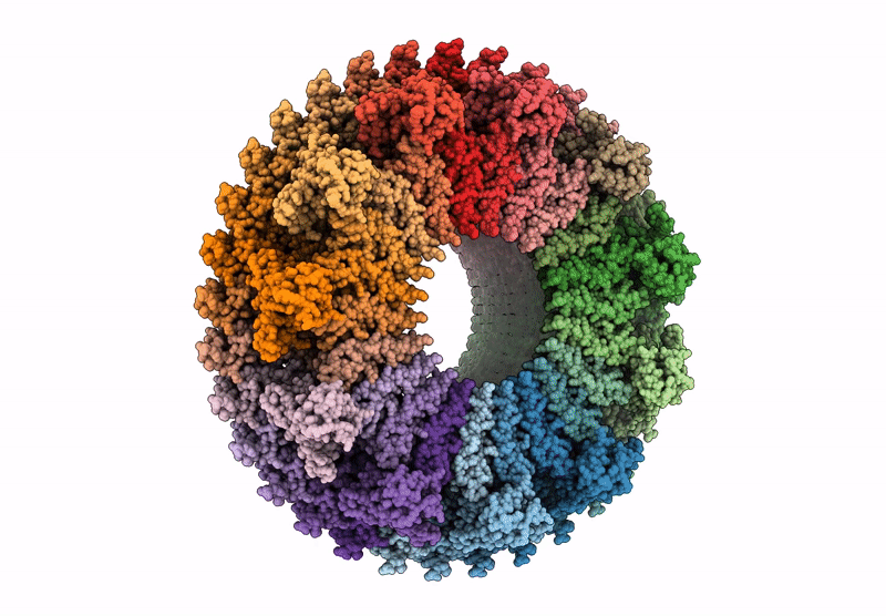 8ZDS image