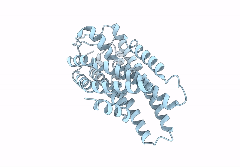 8ZFD image