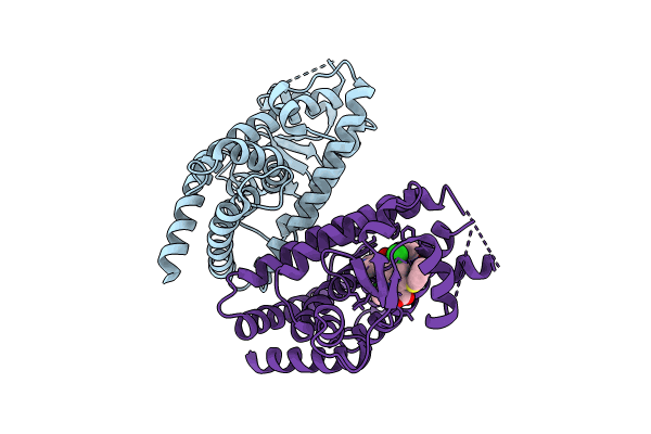 8ZFR image