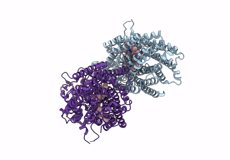 8ZGP image