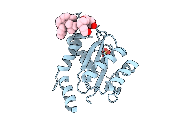 8ZH4 image