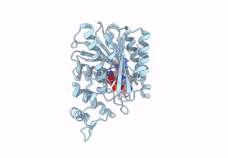 8ZII image