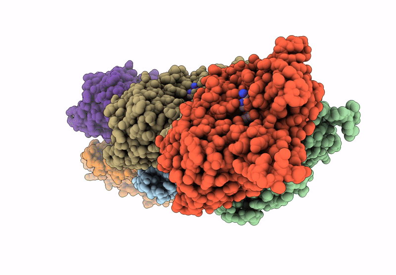 8ZIX image