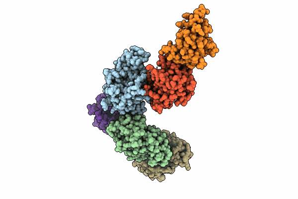 8ZJB image