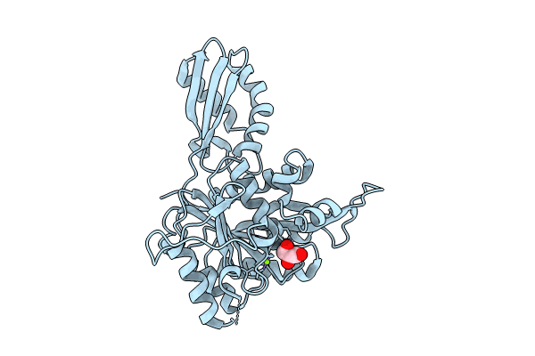 8ZKC image