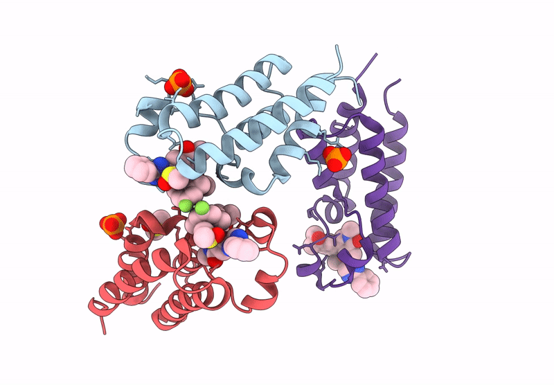 8ZMB image