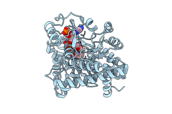 8ZNB image