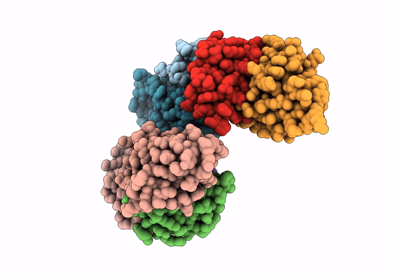 8ZNL image