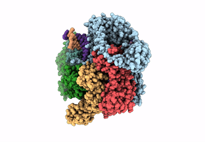 8ZP4 image