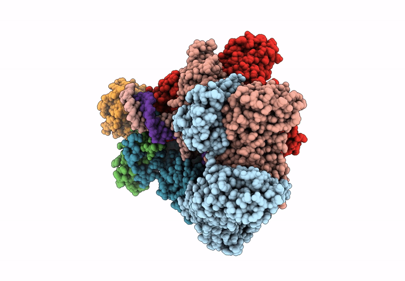 8ZP5 image