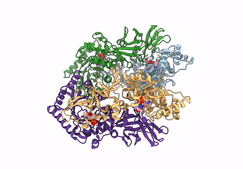 8ZPF image
