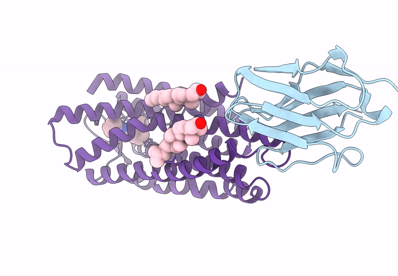 8ZPM image