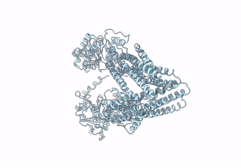 8ZPX image