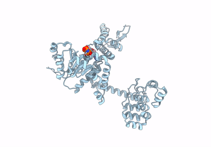8ZR0 image