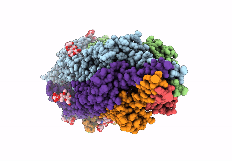 8ZRN image