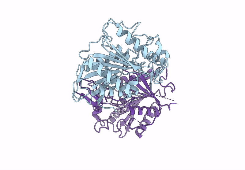 8ZRO image