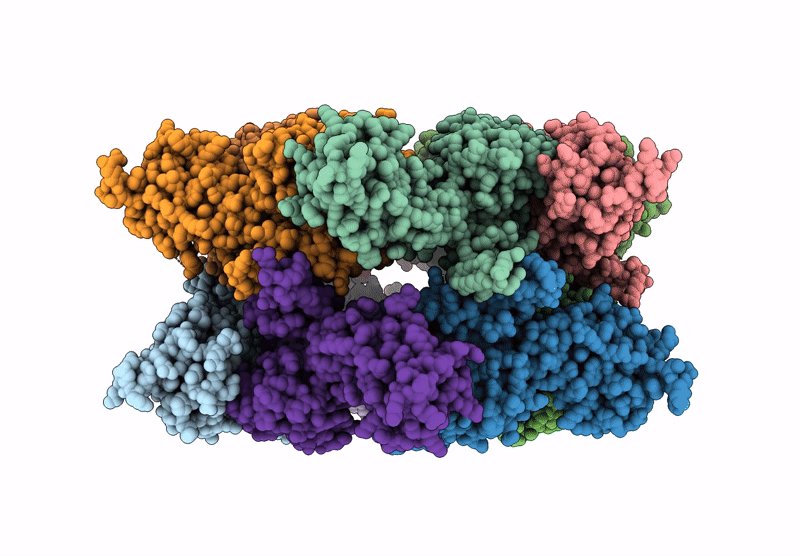 8ZRS image