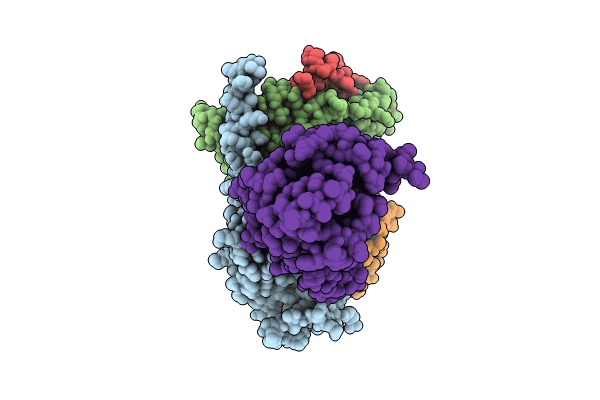 8ZSP image