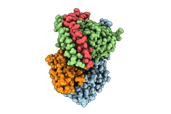 8ZSS image