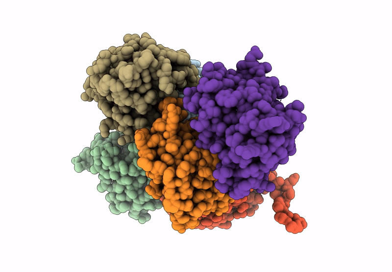 8ZT3 image
