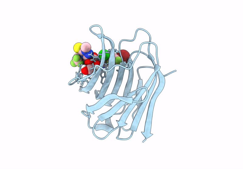 8ZUV image