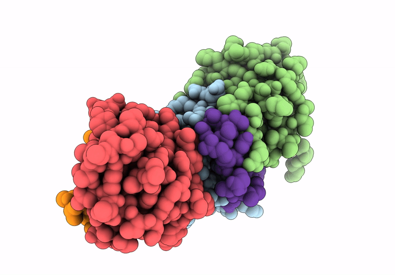 8ZWS image