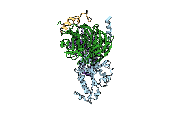 8ZX5 image