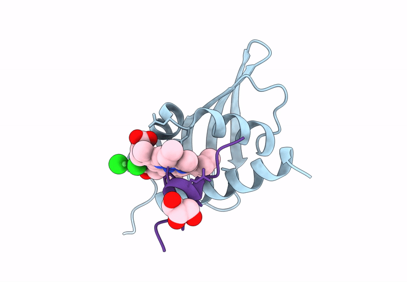 8ZXR image