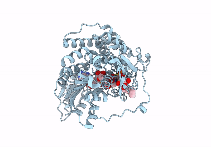 8ZXX image