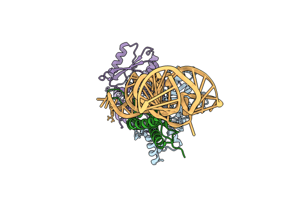 8ZYC image