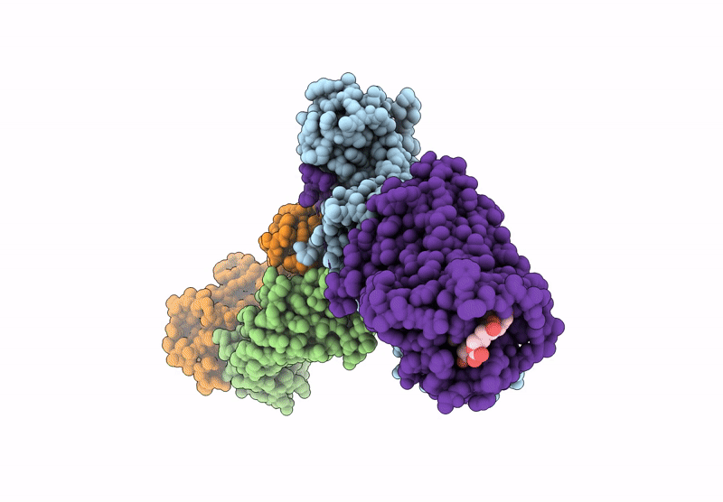 8ZYU image