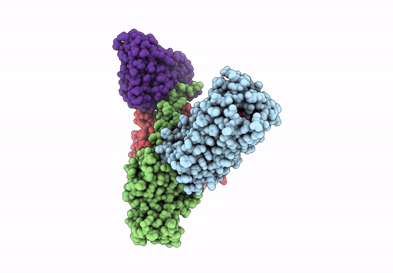 9AS4 image
