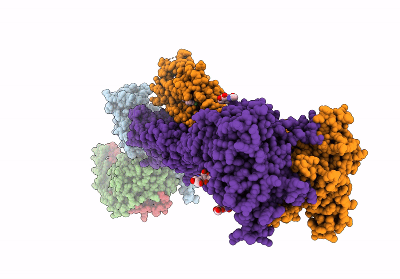 9ASB image