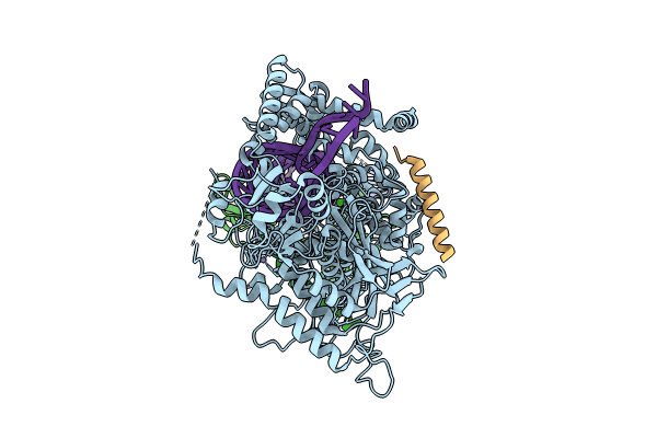 9ASM image