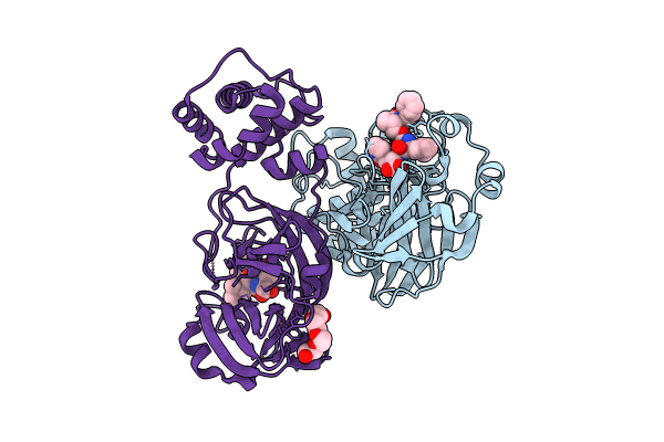 9ASV image