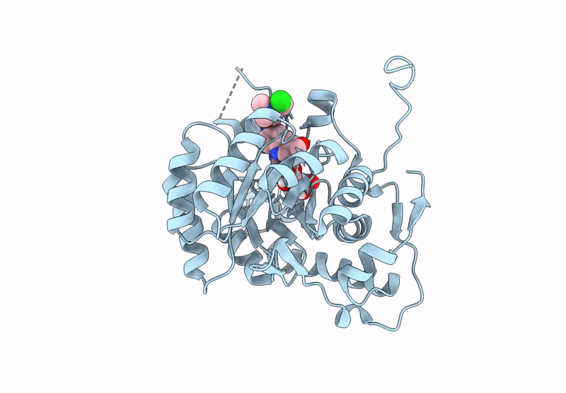 9AUZ image